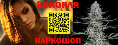 гашик Ливны